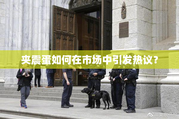 夹震蛋如何在市场中引发热议？