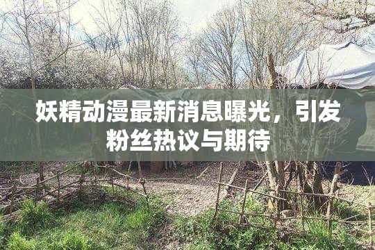妖精动漫最新消息曝光，引发粉丝热议与期待