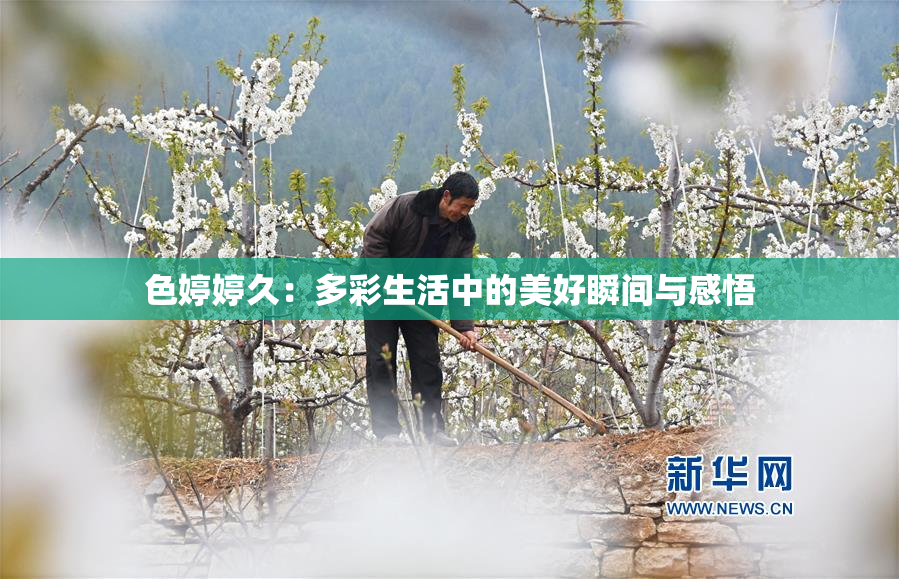 色婷婷久：多彩生活中的美好瞬间与感悟