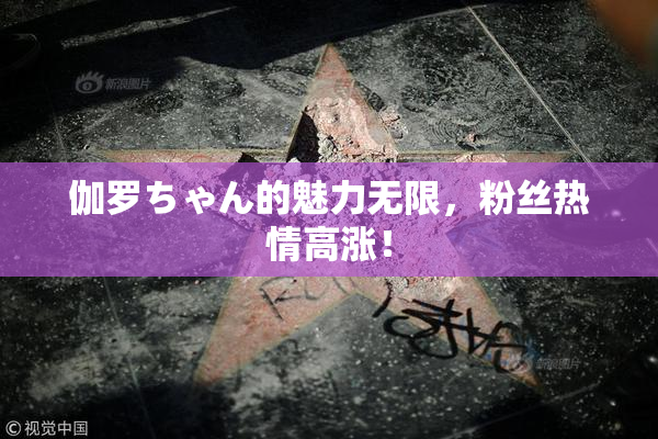 伽罗ちゃん的魅力无限，粉丝热情高涨！