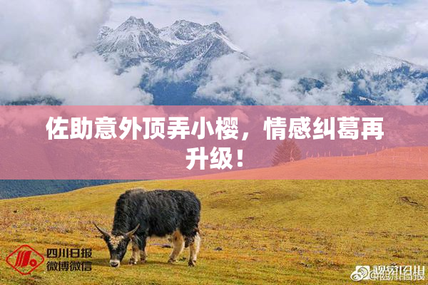 佐助意外顶弄小樱，情感纠葛再升级！