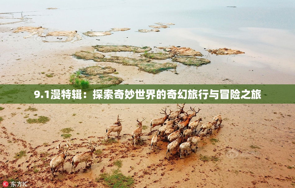 9.1漫特辑：探索奇妙世界的奇幻旅行与冒险之旅