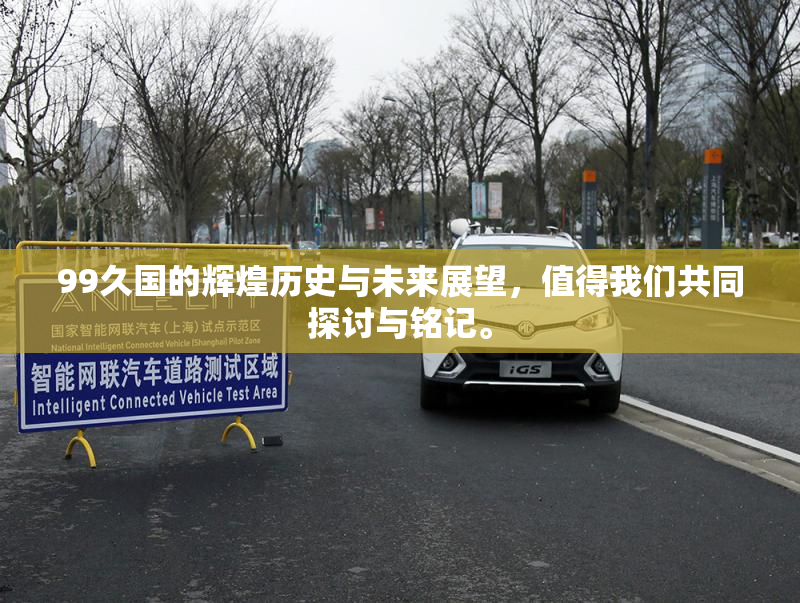 99久国的辉煌历史与未来展望，值得我们共同探讨与铭记。