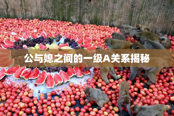 公与媳之间的一级A关系揭秘