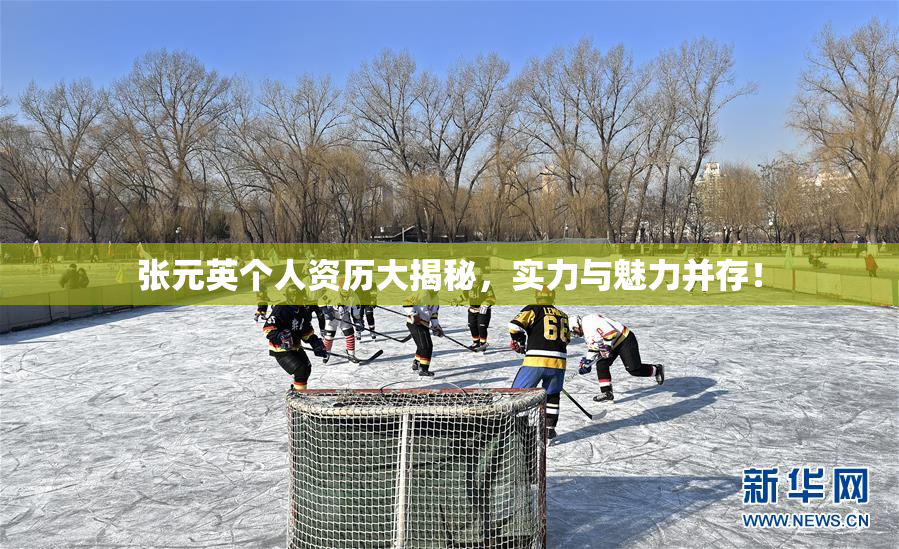 张元英个人资历大揭秘，实力与魅力并存！