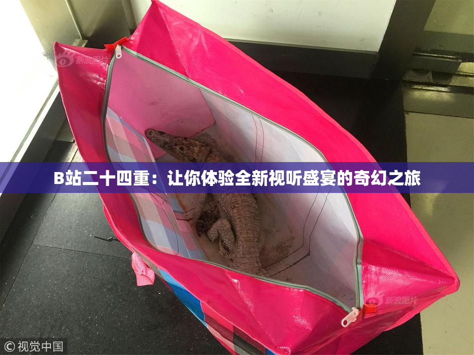 B站二十四重：让你体验全新视听盛宴的奇幻之旅