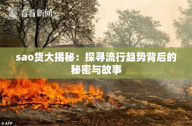 sao货大揭秘：探寻流行趋势背后的秘密与故事