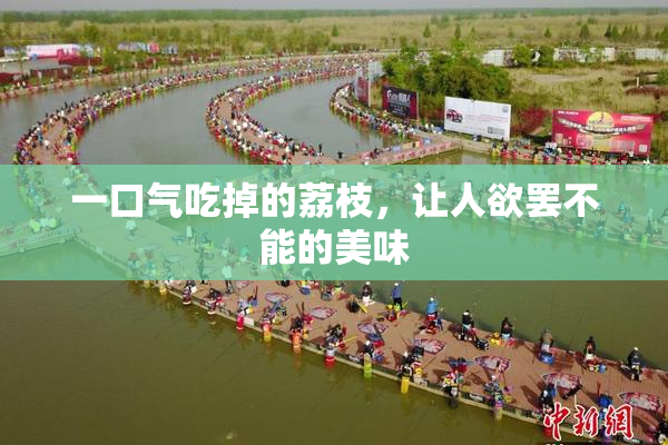 一口气吃掉的荔枝，让人欲罢不能的美味