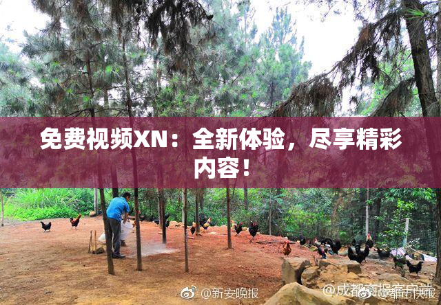 免费视频XN：全新体验，尽享精彩内容！