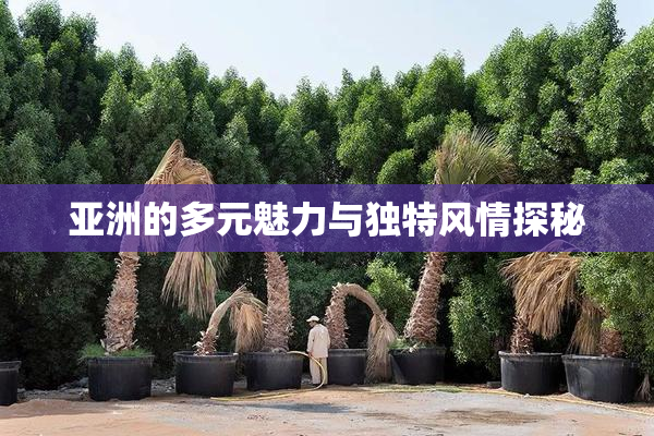 亚洲的多元魅力与独特风情探秘