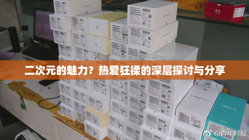 二次元的魅力？热爱狂揉的深层探讨与分享