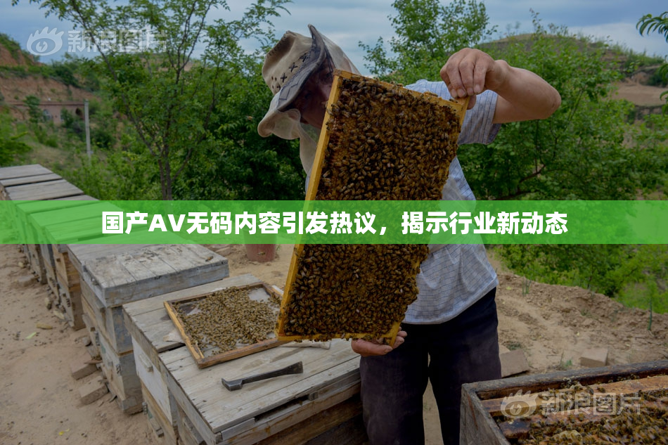 国产AV无码内容引发热议，揭示行业新动态