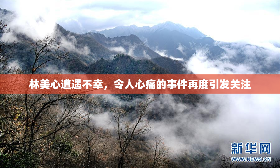 林美心遭遇不幸，令人心痛的事件再度引发关注