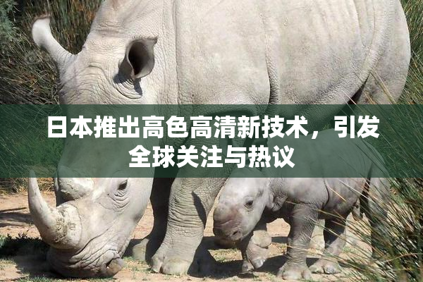 日本推出高色高清新技术，引发全球关注与热议