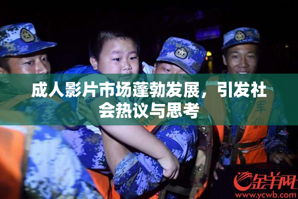 成人影片市场蓬勃发展，引发社会热议与思考