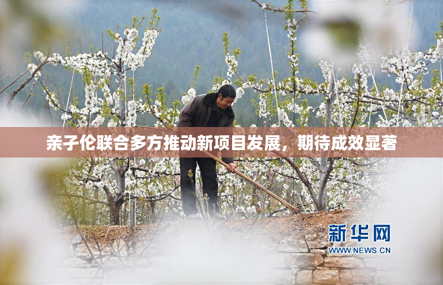 亲孑伦联合多方推动新项目发展，期待成效显著