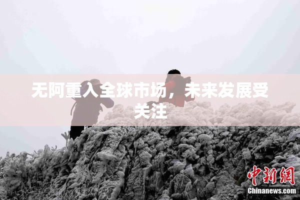 无阿重入全球市场，未来发展受关注