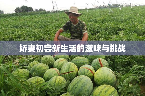 娇妻初尝新生活的滋味与挑战