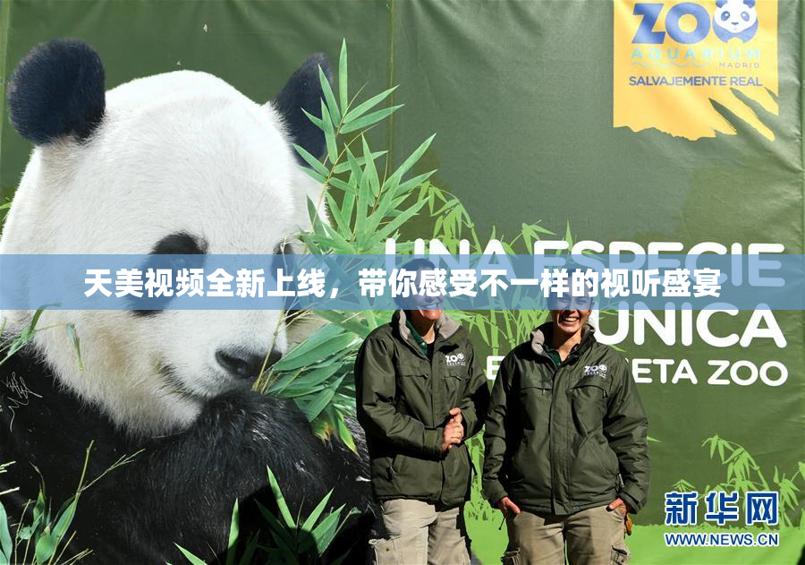 天美视频全新上线，带你感受不一样的视听盛宴