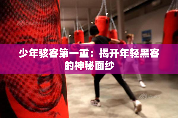 少年骇客第一重：揭开年轻黑客的神秘面纱