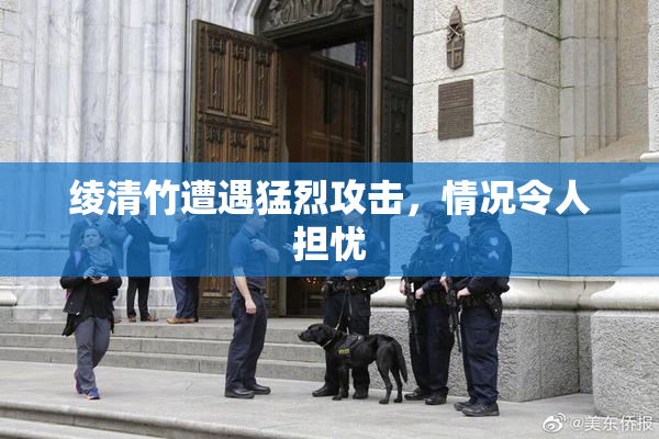 绫清竹遭遇猛烈攻击，情况令人担忧