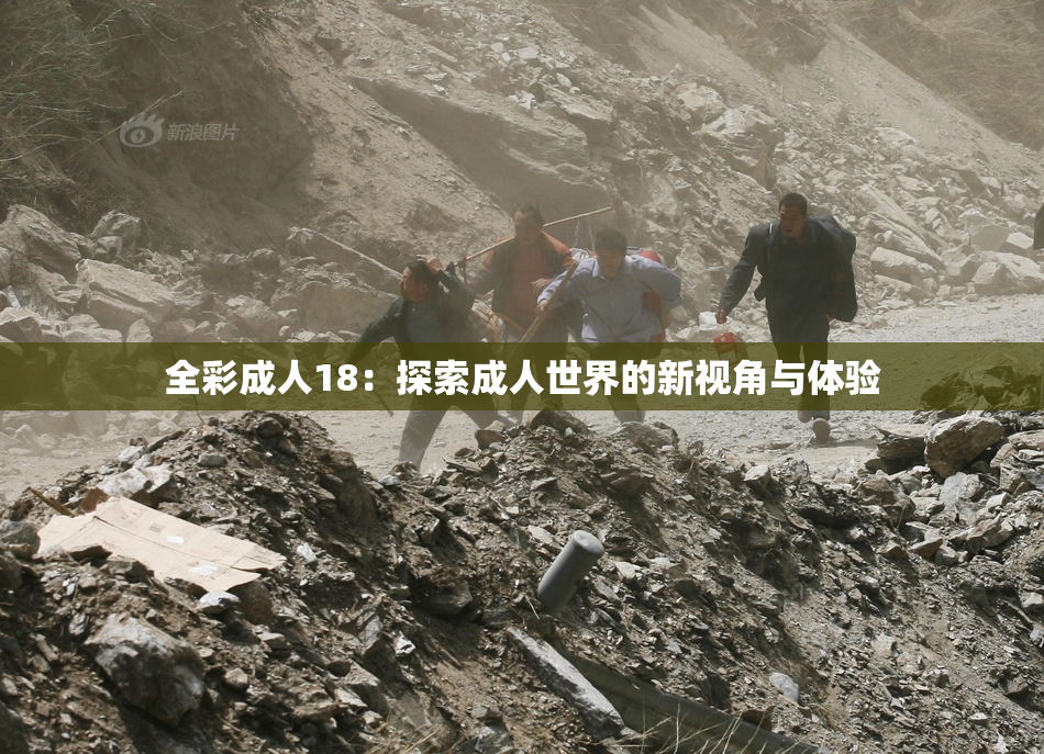 全彩成人18：探索成人世界的新视角与体验