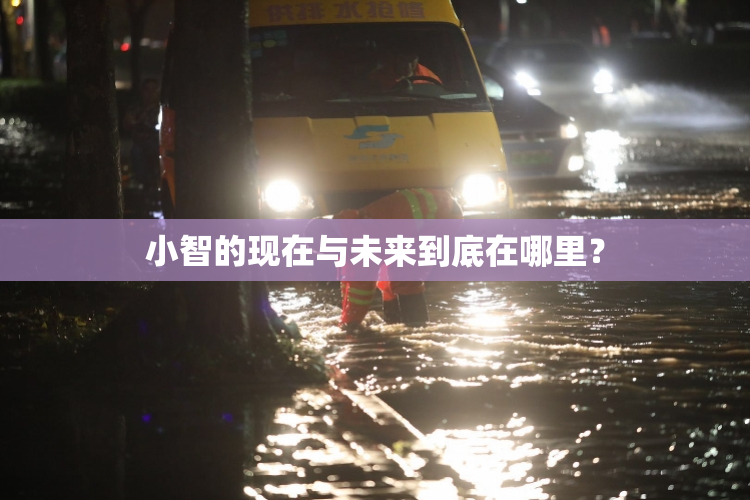 小智的现在与未来到底在哪里？
