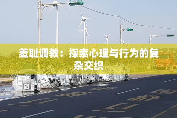 羞耻调教：探索心理与行为的复杂交织