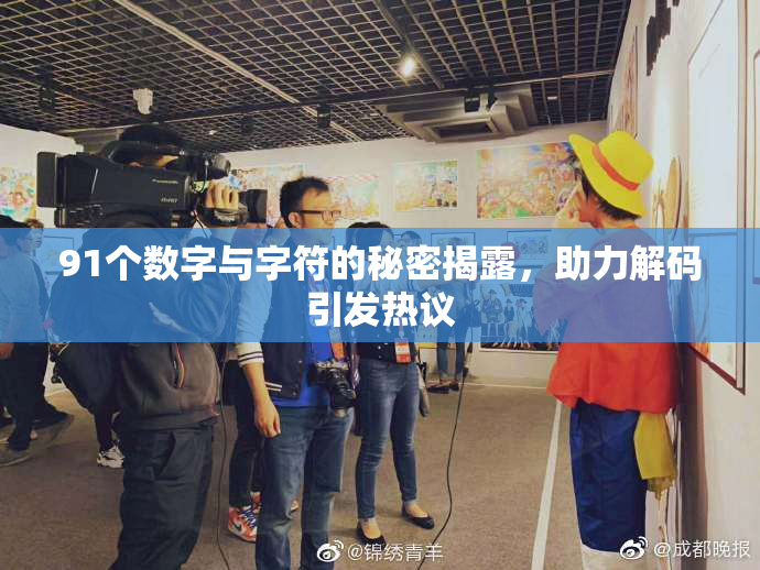 91个数字与字符的秘密揭露，助力解码引发热议