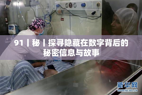 91丨秘丨探寻隐藏在数字背后的秘密信息与故事