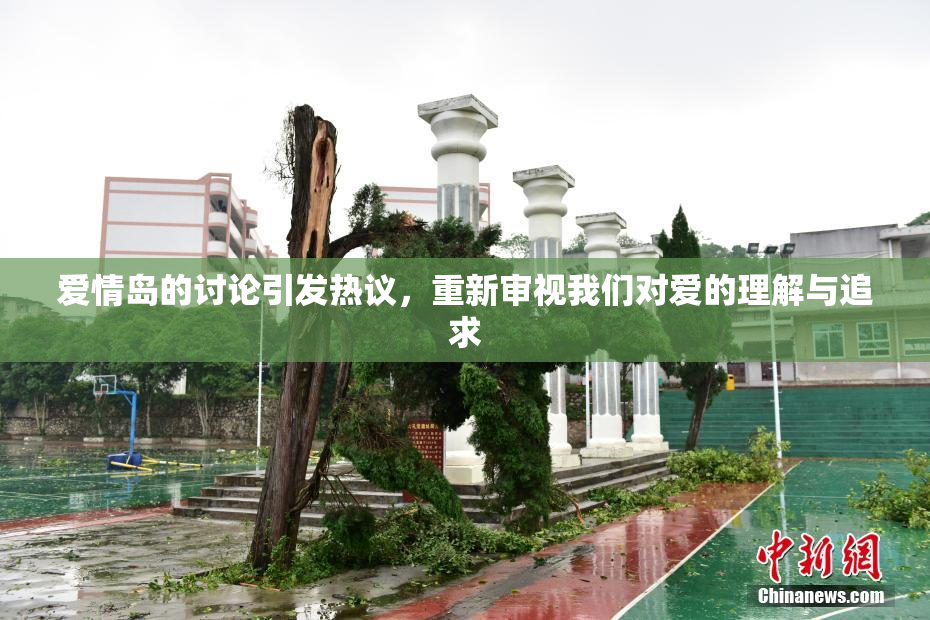 爱情岛的讨论引发热议，重新审视我们对爱的理解与追求