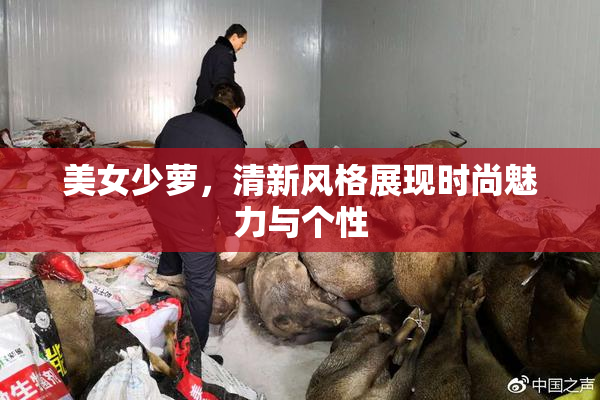 美女少萝，清新风格展现时尚魅力与个性