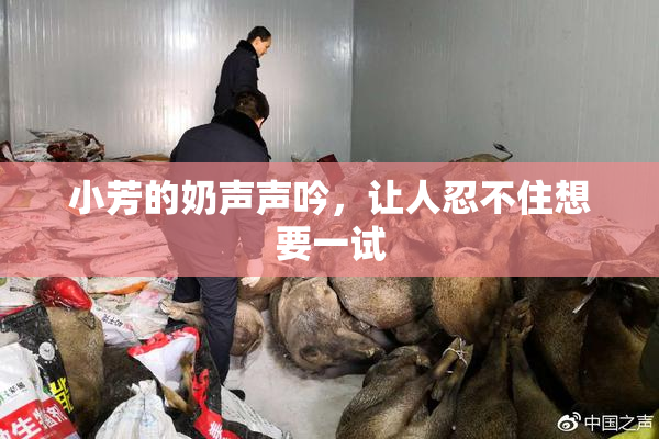小芳的奶声声吟，让人忍不住想要一试