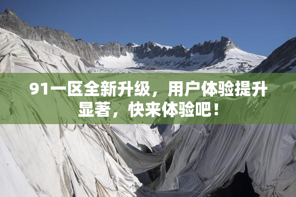 91一区全新升级，用户体验提升显著，快来体验吧！