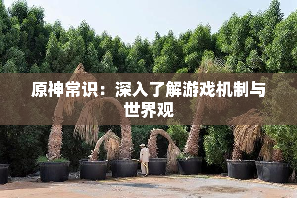 原神常识：深入了解游戏机制与世界观