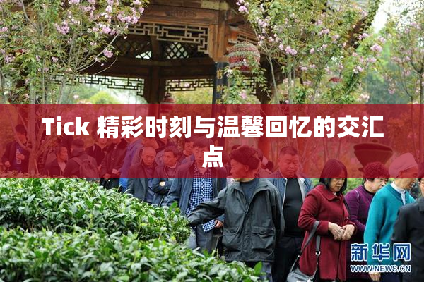 Tick 精彩时刻与温馨回忆的交汇点