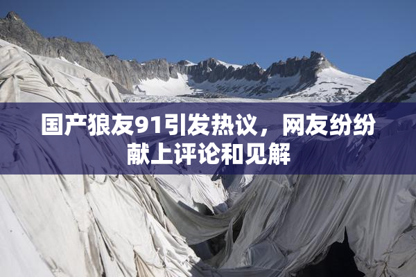 国产狼友91引发热议，网友纷纷献上评论和见解