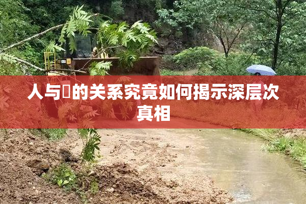 人与嘼的关系究竟如何揭示深层次真相