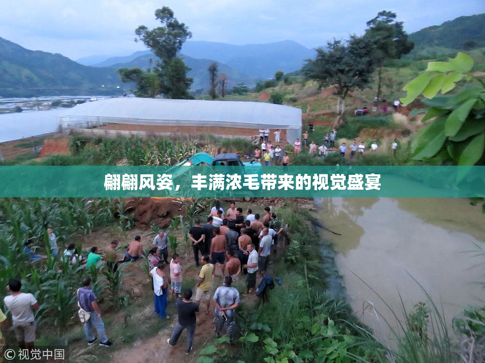 翩翩风姿，丰满浓毛带来的视觉盛宴