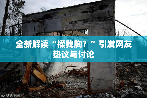 全新解读“揉我胸？”引发网友热议与讨论