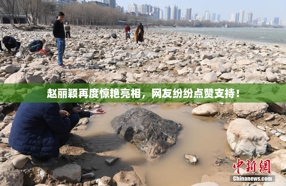赵丽颖再度惊艳亮相，网友纷纷点赞支持！