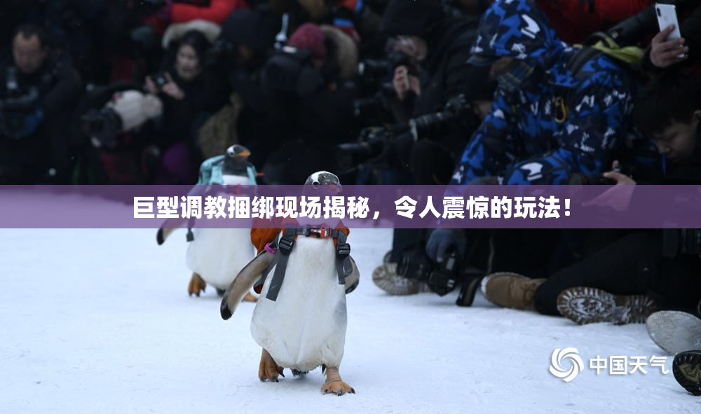 巨型调教捆绑现场揭秘，令人震惊的玩法！