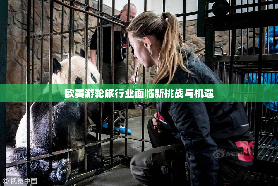 欧美游轮旅行业面临新挑战与机遇