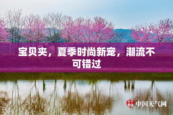 宝贝夹，夏季时尚新宠，潮流不可错过