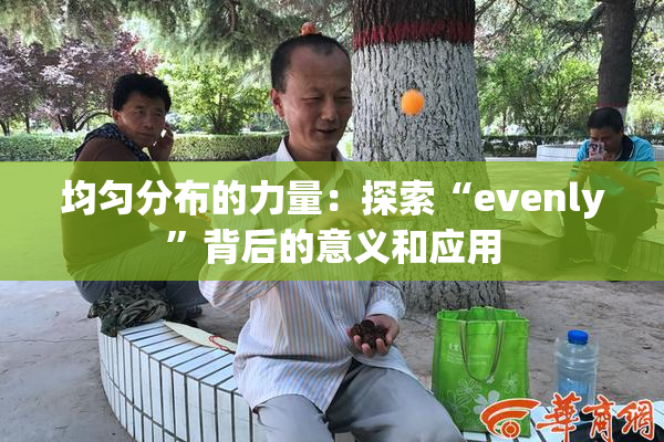 均匀分布的力量：探索“evenly”背后的意义和应用