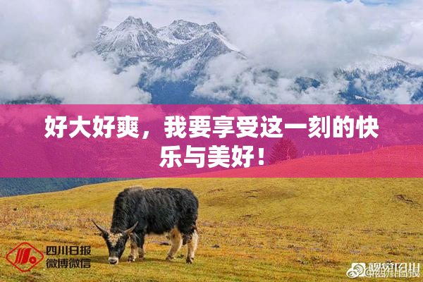 好大好爽，我要享受这一刻的快乐与美好！