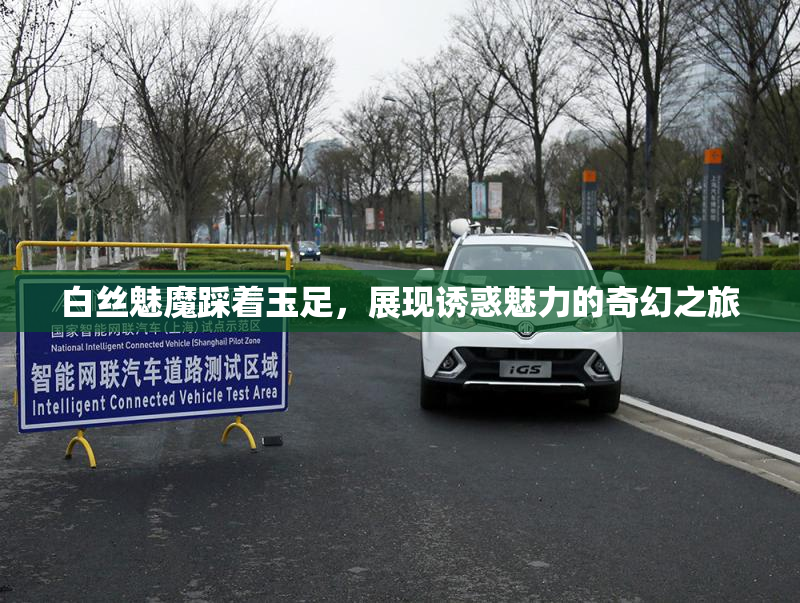 白丝魅魔踩着玉足，展现诱惑魅力的奇幻之旅