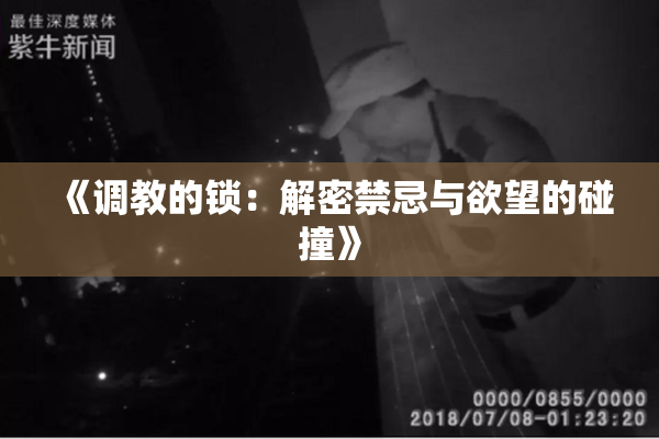 《调教的锁：解密禁忌与欲望的碰撞》