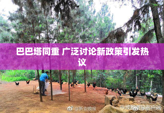 巴巴塔同重 广泛讨论新政策引发热议