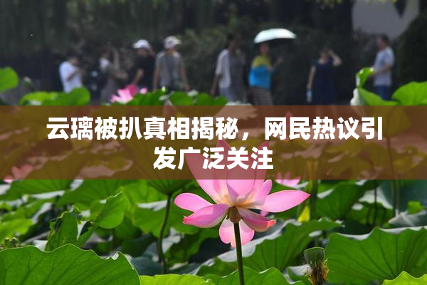 云璃被扒真相揭秘，网民热议引发广泛关注